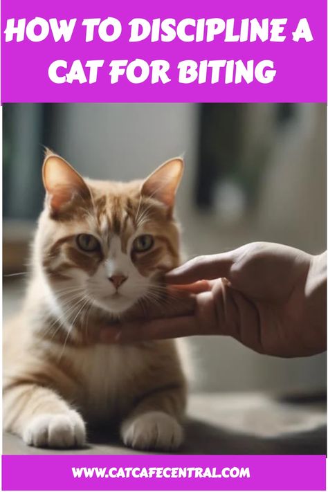 😼 Stop your cat's biting behavior for good with these expert tips! #catdiscipline #stopbiting #catbehavior Cat Biting Another Cat, Biting Tattoo, Biting Drawing, Cat Treats Recipes, Homemade Cat Treats Recipes, Homemade Cat Treats, Raising Kittens, Establish Boundaries, Cat Behavior Problems