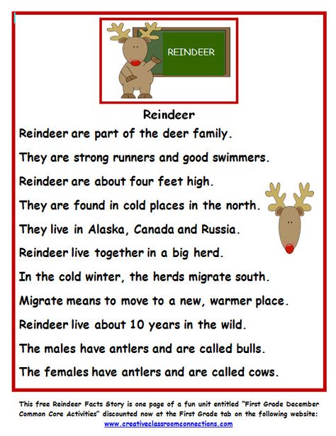 Free Reindeer Fact Story from a complete unit called "First Grade December Common Core Activities". It can be found on tpt or at the website: www.creativeclassroomconnections.com. Reindeer Activities, Reindeer Facts, Homeschool Adventures, December Lessons, December Kindergarten, Christmas Preschool, Christmas Art For Kids, Christmas Units, Christmas Lesson