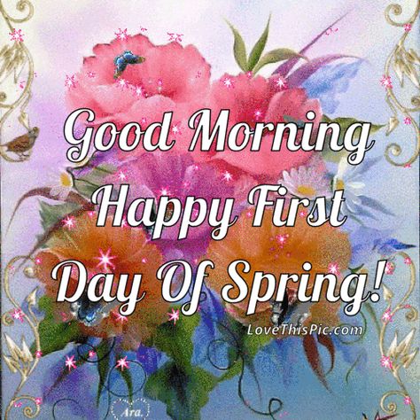 Good Morning Happy First Day Of Spring Spring Good Morning, Spring Quotes Flowers, Thanksgiving Day Quotes, Good Morning Spring, Spring Gif, Happy Spring Day, 1st Day Of Spring, Good Morning Pics, Happy First Day Of Spring