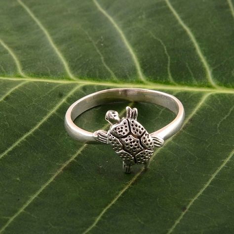 Silver Turtle Ring, Silver Ring Simple, Sterling Silver Rings Simple, Turtle Ring, Successful Person, Cute Turtle, Silver Rings Simple, Simple Band, Ring Simple