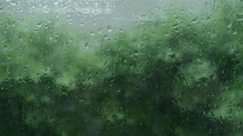 Rain Drops On Window, Rainy Day Wallpaper, Window Living Room, Rainy Wallpaper, Rainy Window, Rain Window, Living Room Garden, Green Windows, Rain Wallpapers