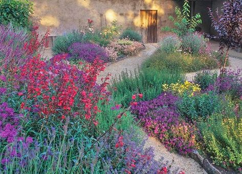 Cottage Garden Drought Tolerant, Landscaping Drought Tolerant, Colorful Perennials, California Landscaping, Walkway Garden, California Native Garden, High Country Gardens, California Backyard, Mid Term