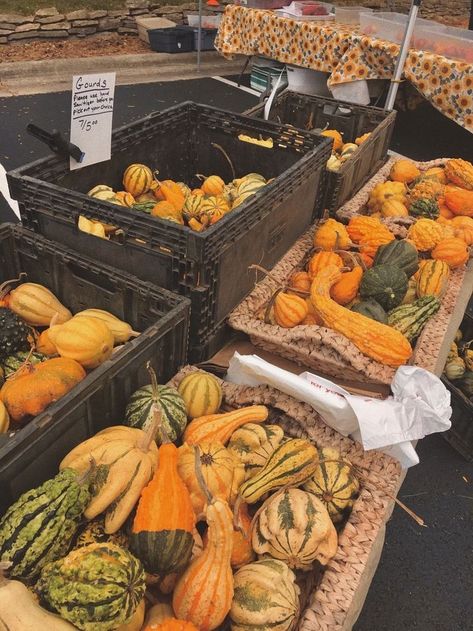 Fall Farmers Market Aesthetic, Midwest Autumn, Fall Nostalgia, Fall Farmers Market, Farmers Market Aesthetic, October Mood Board, Community Event Ideas, Market Aesthetic, Autumn Leaves Falling