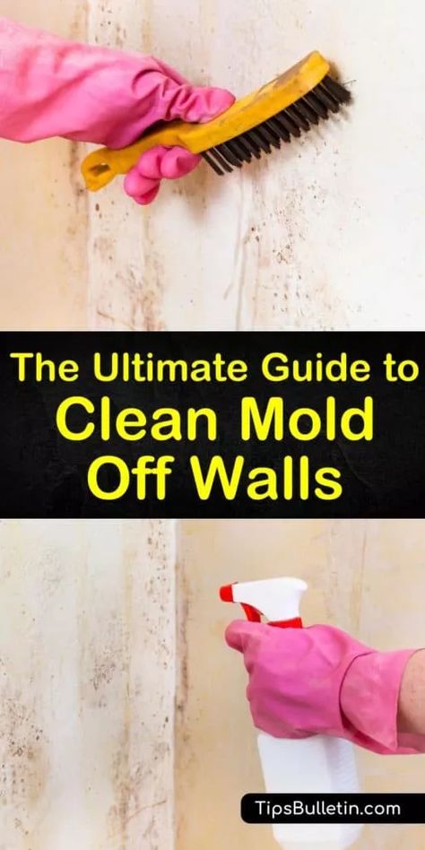 Mold On Walls, Remove Mold From Walls, Cleaning Vinyl Siding, How To Remove Mold, Arm And Hammer Super Washing Soda, Spring Cleaning Challenge, Vinegar And Baking Soda, Mold Prevention, Remove Mold