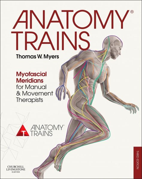 Anatomy Trains, Structural Integration, Yoga Anatomy, Train Book, Yoga Teachers, Book Posters, Physical Therapist, Anatomy And Physiology, Science Books