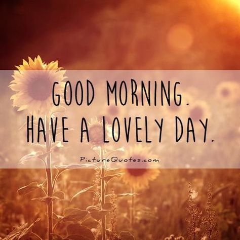 Good Morning, Have A Lovely Day morning good morning morning quotes good… Have A Lovely Day Quotes, Lovely Day Quotes, Beatiful Day, Good Morning For Him, Morning Handsome, Good Morning Handsome, Special Good Morning, Funny Good Morning Quotes, Morning Morning