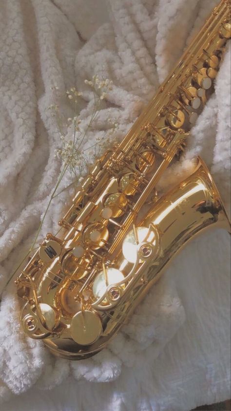 Alto Saxophone Wallpaper, Aesthetic Saxophone Pictures, Marching Band Aesthetic Saxophone, Alto Sax Aesthetic, Bari Sax Aesthetic, Cool Saxophone, Gold Music Aesthetic, Saxophonist Aesthetic, Tenor Saxophone Aesthetic