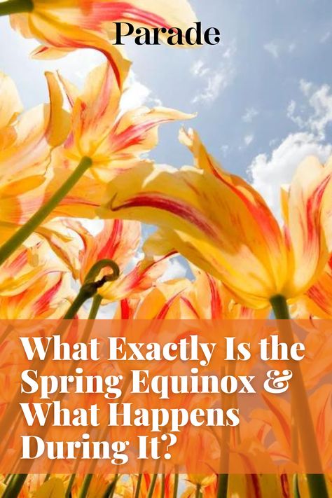 What Exactly Is the Spring Equinox and What Happens During It? #spring #springequinox #seasons https://parade.com/1177583/stephanieosmanski/what-is-spring-equinox/ Vernal Equinox Day, Equinox Day, Iranian New Year, March Equinox, Ancient Maya, Vernal Equinox, Spring Equinox, Latin Words, Daylight Savings Time