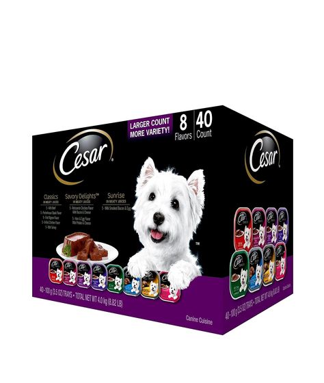 CESAR CANINE Cuisine Variety Food Variety Food, Food Variety, Canned Dog Food, Wet Dog, Food Pack, Pouch Packaging, Best Dog Food, Wet Dog Food, Puppy Food