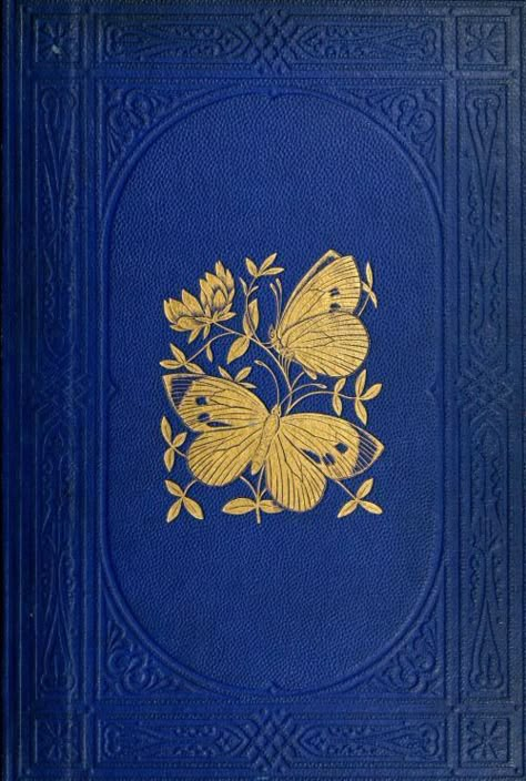 Old Book Covers, British Butterflies, Vintage Book Cover, Motif Art Deco, Book Cover Template, Vintage Book Covers, Beautiful Book Covers, Old Book, Book Cover Art