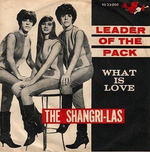 Leader Of The Pack, 1960s Music, 60s Music, 70s Music, The Perfect Girl, Record Sleeves, Shangri La, Musical Group, The Pack