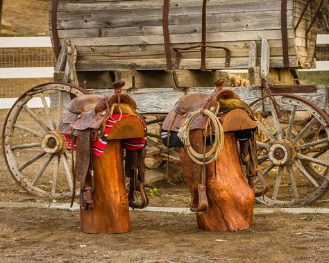 Horse Saddle Decor Ideas, Diy Bar Stools, Saddle Bar Stools, Unique Stools, Cowboy Theme Party, Western Horse Saddles, Indoor Ideas, Old Western, Cowgirl Magazine