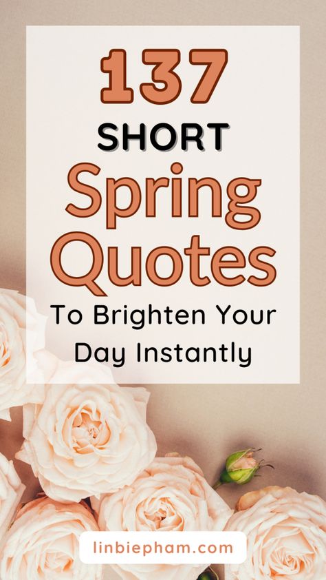 Struggling to shake off those winter blues? Brighten up your day with our collection of Short Spring Quotes, from funny to happy and inspirational! Save this pin for a daily dose of springtime motivation. Spring Flowers Quotes, Short Spring Quotes, Calendar Quotes, Quotes To Brighten Your Day, Spring Quotes, Closer To The Sun, Shake Off, Spring Awakening, Flower Quotes