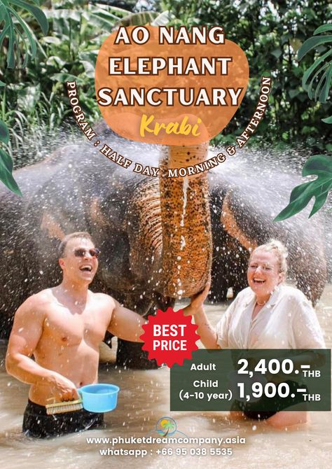 🌿🐘Come and assist us in caring for elderly elephants who have been rescued from logging operations or elephant riding camps. You will spend a half-day here to make a lasting memory with these lovely animals. You must go to the Ao Nang Elephant Sanctuary because it is a moral sanctuary for elephants. With the Trip : Ao Nang Elephant Sanctuary Krabi ❗❗Come join in activities with us. See you then everyone. More details 🌐https://www.phuketdreamcompany.asia/tours/aonang-elephant-sanctuary-krabi... Elephant Riding, Elephant Sanctuary, Ao Nang, Lovely Animals, Phuket Thailand, Krabi, The Trip, Phuket, See You