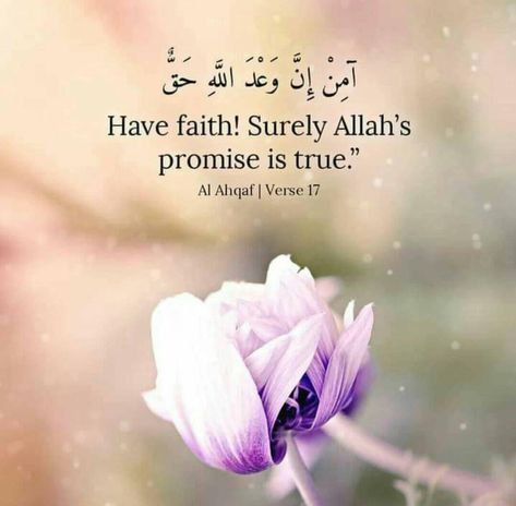 #allah #allahswt #islam #islamicreminders #quran #quranverses #verseoftheday #verse #muslimjournal #surah #quranic #quranicverses #islamicposts #muslimreminder #islamicworld #muslim Islamic Quotes In English, Daily Mantras, Quran Hadith, Short Islamic Quotes, Quran Translation, Best Quran Quotes, Spanish Inspirational Quotes, Noble Quran, Best Islamic Quotes