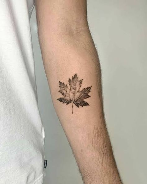 White Wrist Tattoos, Leaf Tattoo Ideas, Maple Leaf Tattoos, Maple Tree Tattoos, Traditional Tattoo Stencils, Wrist Tattoo Cover Up, Leaf Sleeve, Leaf Tattoo, Tattoo Shading