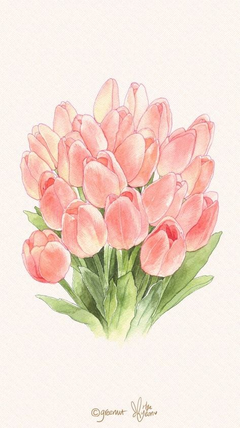 Tulip Flower Drawing, Flower Bouquet Drawing, Tulip Drawing, Spring Drawing, Tulip Painting, Color Drawing Art, Watercolor Tulips, Iphone Wallpaper Tumblr Aesthetic, Photoshop Cc