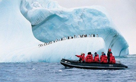 Antarctica Cape Horn, Beautiful Places In Japan, Punta Arenas, The Tourist, Group Tours, Oh The Places Youll Go, Most Beautiful Places, Travel Bucket, Travel Bucket List