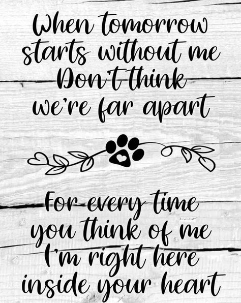 When Tomorrow Starts, Memorial Picture Frame, Miss My Dog, Dog Memorial Tattoos, Colorful Hairstyles, Dog Quotes Love, Dog Remembrance, Heaven Quotes, Dog Heaven