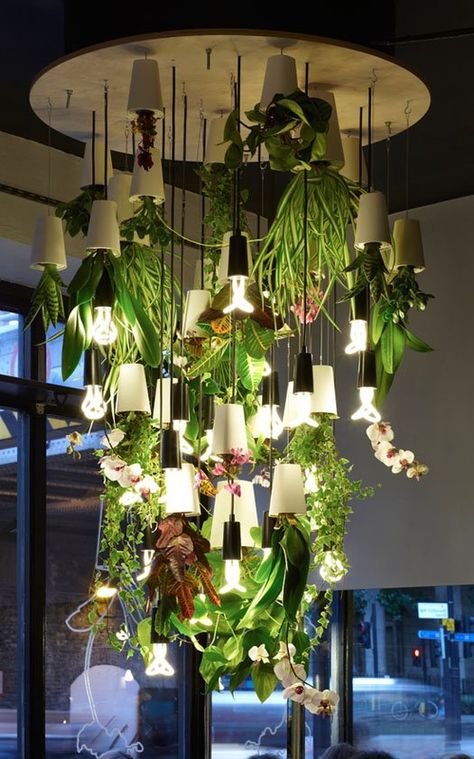 Sky Planter Chandelier  ~we just got these creative designer pots in store. Check out what 1kinddesign did with them!    www.artknapps.ca  www.onekindesign.com Plants And Lights, Upside Down Plants, Display Visual Merchandising, Plant Installation, Plant Hanging, Indoor Jungle, Unusual Plants, Plant Lighting, Plant Pictures