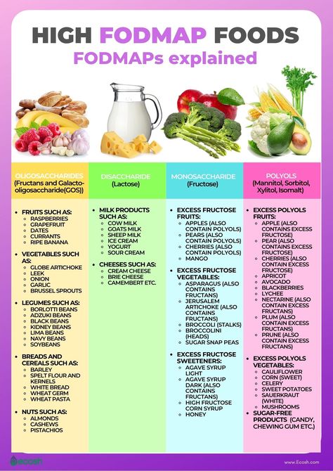 Ibs Diet Plan, Ulcer Diet, Low Fodmap Foods, Fodmap Food List, Fod Map, Fodmap Diet Plan, Fodmap Recipes Dinner, Low Fodmap Recipes Dinner, High Fodmap Foods