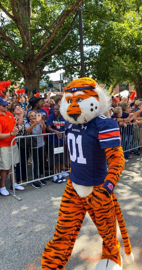 New to the Auburn Game Day traditions? Sophi shares all the things you need to know here! Auburn Football Game Outfit, Auburn Game Day, Auburn Football, Game Snacks, Drum Major, Football Game Outfit, Auburn University, Auburn Tigers, High Five