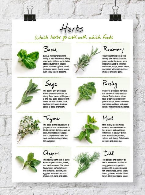 This Handy Printable Herb Chart is the free printable you need if you love gardening, cooking, or both! Herb Chart, Recipe Binder Ideas, Recipe Binder Printables, Diy Recipe Binder, Making A Cookbook, Cooking With Fresh Herbs, Recipe Book Ideas, Diy Cookbook, Cooking Herbs