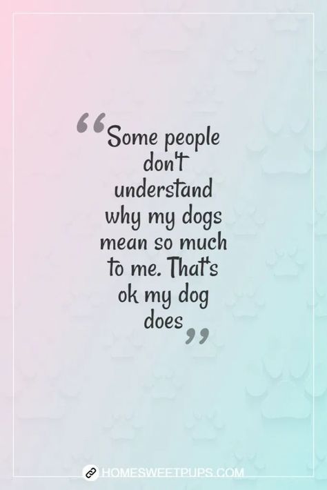 Dog Quotes Love A Girl And Her, Not Just A Dog Quotes, Dogs Are The Best Quotes, Quotes About Pets Being Family, My Dog Is My Best Friend, Me And My Dog Quotes Unconditional Love, Quotes About Dogs Being Best Friends, Dog Quotes Love Best Friends, Dog Friendship Quotes