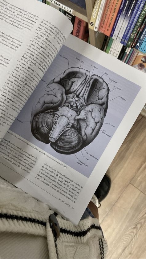 Neuroscience Study Aesthetic, Neuropsychologist Aesthetic, Neurology Wallpaper, Neurosurgery Aesthetic, Neuropsychology Aesthetic, Neurologist Aesthetic, Neuro Aesthetic, Neurology Aesthetic, Neuroscience Aesthetic