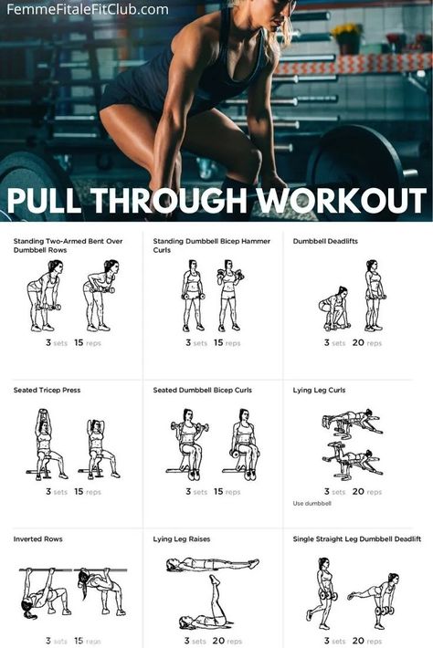 Pully Exercises Gym, Pull Home Workout, Pull Exercises For Women At Home, Pull Exercises Dumbells, Pull Day With Dumbbells, Home Pull Workout, Womens Pull Day Workout, Pull Workout Women At Home, Pull Leg Exercises