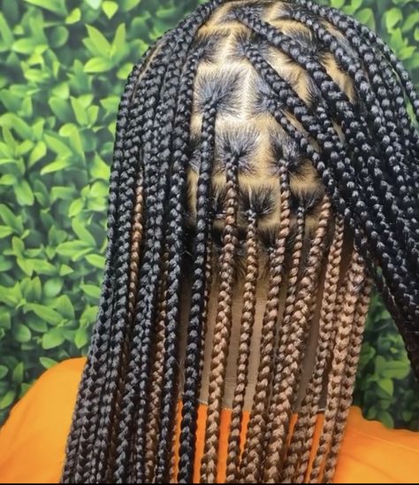 Small Knotless Box Braids With Peekaboo Color, Knotless Box Braids Medium Peak A Boo, Smeduiem Knotless Peekaboo, Brown Peek A Boo Knotless Braids, Black Braids With Brown Peekaboo, Smedium Knotless Box Braids Peekaboo, Black And Brown Peak A Boo Braids, Peak A Boo Hair Color Black Women Braids, Small Knotless Box Braids Peek A Boo