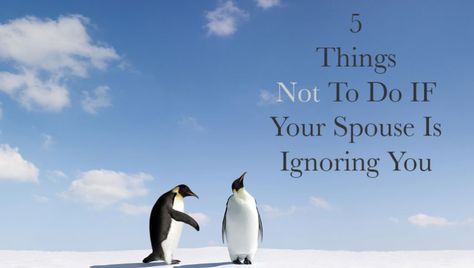 Actually, my point is the just the opposite. I am trying to help you understand why you feel the need to freak out and nag your spouse: you long for connection and you are willing to do anything or everything to get it. Cedar Rapids, 5 Things, Good Advice, Do Anything, Counseling, How Are You Feeling, Feelings