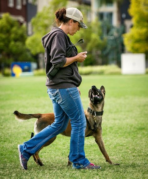 Rewards can be a powerful motivator, but they can also lead to a lack of focus. Learn how to use rewards without sacrificing your attention | #Velvet_Dog_Collar #Personalized_Leather_Dog_Collar #Leather_Dog_Collar_Custom #Dog_Behavior_Training Velvet Dog Collar, Dog Behavior Training, Dangerous Dogs, Dog Collar With Name, Dog Sports, Hand Signals, Training Dogs, Dog Business, Dog Training Advice