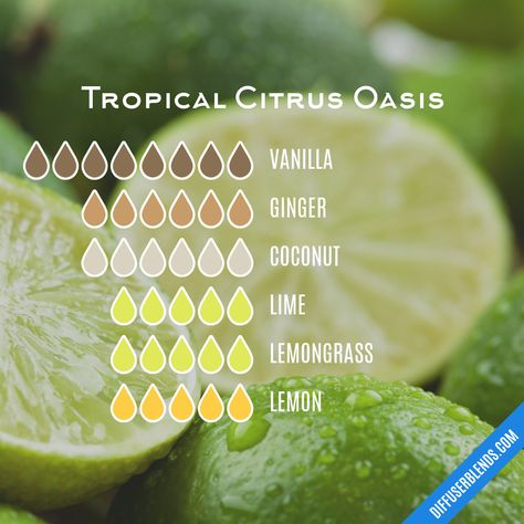 Tropical Citrus Oasis Tropical Essential Oil Blend, Citrus Essential Oil Blends, Coconut Essential Oil Blends, Scent Wheel, Mermaid Candle, Candle Blends, Magick Oil, Coconut Essential Oil, Homemade Potpourri