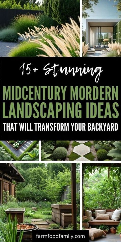 25+ Fresh Midcentury Modern Landscaping Ideas for a Chic Outdoor Retreat 62 Midcentury Modern Landscape Ideas, Mcm Front Yard Landscaping, Mid Century Modern Plants Outdoor, Oasis Landscape Design, Midcentury Modern Landscape Design, Modern Landscape Design Backyard, Ranch Home Landscaping, Unique Landscaping Ideas, Midcentury Modern Landscaping