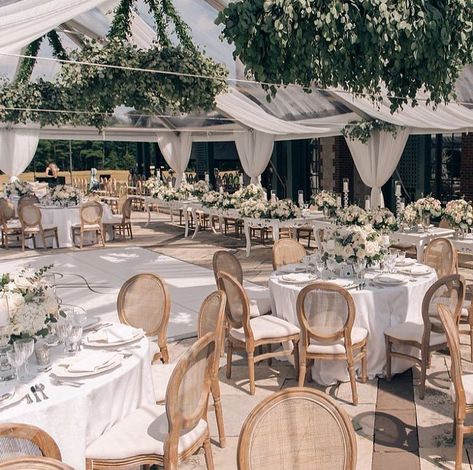 Detailz Couture Event Rentals (@detailzeventrental) • Instagram photos and videos Louis Chairs Wedding, Wedding Tent Decorations, Chairs Wedding, Tent Wedding Reception, Louis Chairs, Reception Inspiration, Tent Decorations, Wedding Tent, Apartment Life