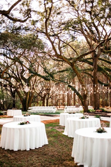 Jessi Casara Photography. Southern Alabama wedding venues. Southern wedding. Southern living. Southern wedding inspo. Southern wedding inspiration. Wedding ideas. Wedding inspo. Wedding inspiration. Outdoor wedding. Indoor wedding. Alabama weddings. Southern weddings. Alabama photographer. Wedding photographer. Wedding photography. Wedding planning. Wedding mood. Wedding vibes. Wedding aesthetic. Romantic wedding venues. Southern wedding venues. Old South Wedding Theme, Old South Wedding, Fairhope Alabama Wedding, Outdoor Southern Wedding, Fall Southern Wedding, Southern Bell Wedding, Prescott Wedding, Southern Wedding Food, Lake Wedding Reception