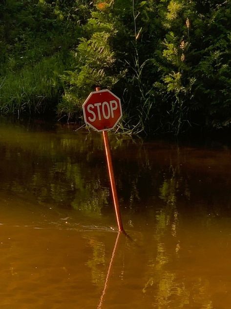 Aesthetic Stop Sign, Stop Sign Painting Ideas, Stop Sign Aesthetic, Violet Aesthetic, Stop Sign, Drawing Stuff, Please Stop, Ap Art, New Wall