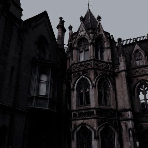 Dark Royal Aesthetic, Royal Core Aesthetic, Dark Academy Aesthetic, Royal Core, Dark Acadamia, Dark Castle, Aesthetic Dark Academia, Castle Aesthetic, Royalty Aesthetic