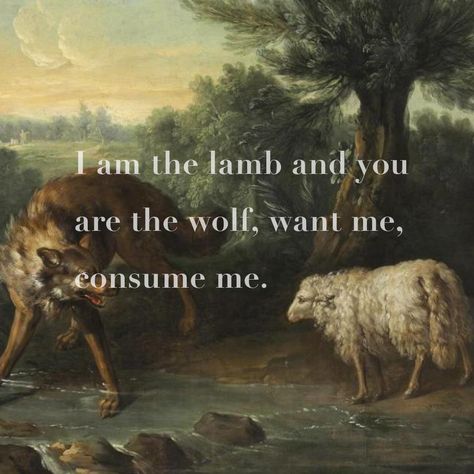 Lamb Poetry, Unicorns Aesthetic, Nevermore Aesthetic, Lamb Quotes, Lamb And Wolf, Pleading Emoji, Wolf And Lamb, The Wolf And The Lamb, Lambs And Wolves