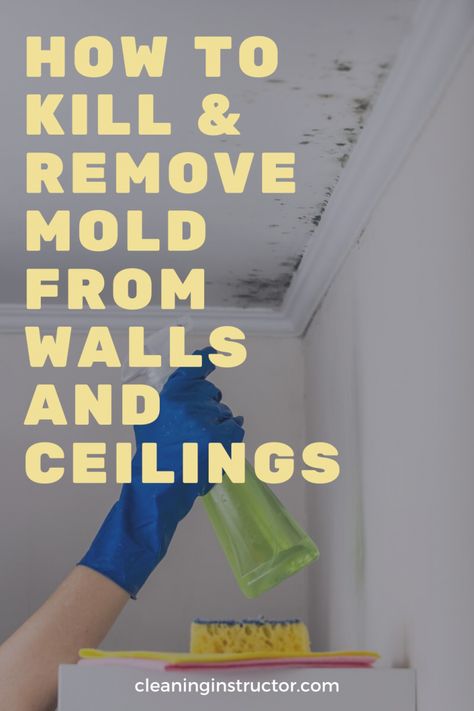 Get Rid Of Black Mold, Mold On Bathroom Ceiling, Remove Mold From Walls, Kill Black Mold, Clean Black Mold, How To Remove Mold, Remove Mold, Shower Tips, Black Mold