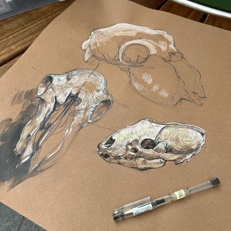 Animal Skull Art Drawing, Animal Bone Drawing, Sheep Skull Drawing, Bird Skull Art, Animal Bones Drawing, Bone Art Drawing, Drawings On Brown Paper, Brown Paper Sketch, Animal Skull Painting