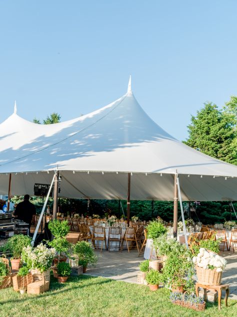 Reception Tent Entrance, Wedding Tent Entrance Decor, Tent Entrance Wedding, Wedding Tent Entrance, Tent Entrance, Entrance Display, Backyard Tent Wedding, Bunny Mellon, Elegant Backyard