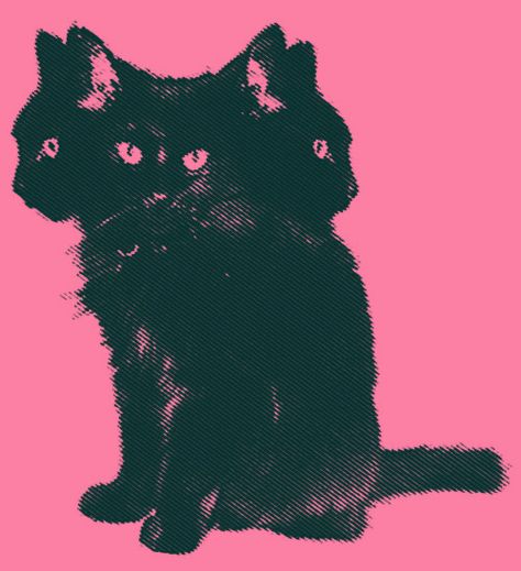 Decorate My Room, Psychadelic Art, Catty Noir, Apple Watch Wallpaper, Pink Vibes, Pink Halloween, Apple Watch Faces, Cat Posters, Cat Aesthetic