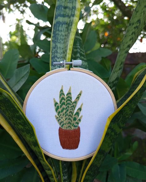 Snake Plant Hand Embroidery 🪡🪴🪴 #embroiderylove #snakeplant #handembroidered #needlework #botanicalembroidery #embroidery #embroideryart #art Snake Plant, Embroidery Art, Hand Embroidered, Hand Embroidery, Needlework, Embroidery, Art