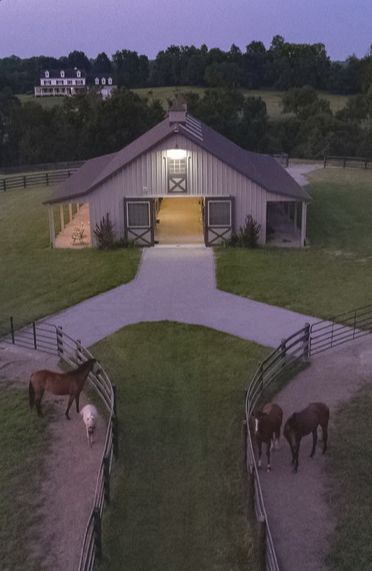 Pasture Shelter, Horse Stables Design, Luxury Horse Barns, Dream Barn Stables, Equestrian Barns, Luxury Horse, Equestrian Building, Horse Farm Ideas, Diy Horse Barn