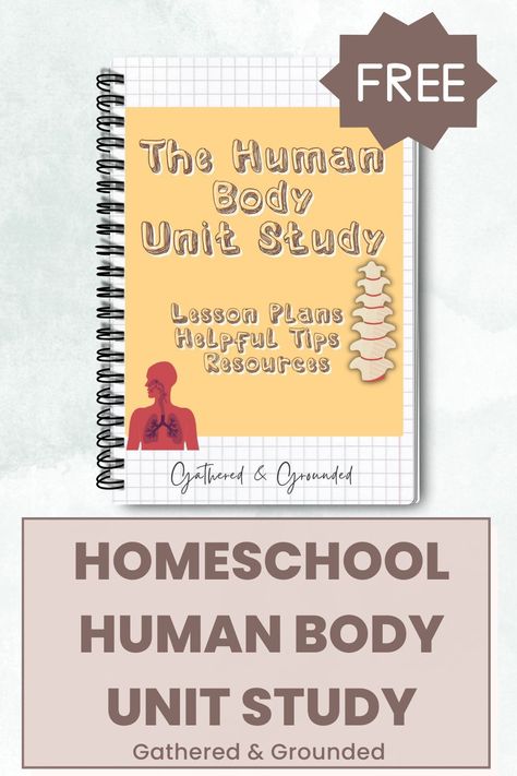 Free Human Body Unit Study for Homeschool Anatomy Unit Study, Homeschool 2nd Grade Unit Studies, Homeschool Human Body Unit, Free Human Body Printables, History Unit Studies Homeschool, Human Body Unit Study Elementary, Free Homeschool Unit Studies, Free Unit Studies, Free Unit Studies Homeschool