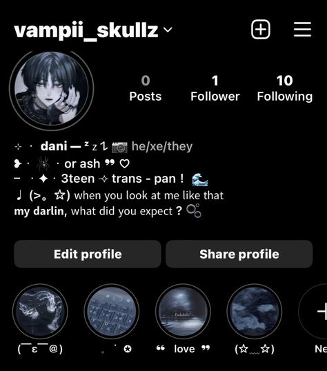 Pfp For Discord Sever, Instagram Profile Themes, Aesthetic Discord Name Ideas, Discord Sever Picture, Insta Acc Ideas, Instagram Pronouns Ideas, Aesthetic Insta Profile Ideas, Aesthetic Insta Layout, Instagram Page Aesthetic