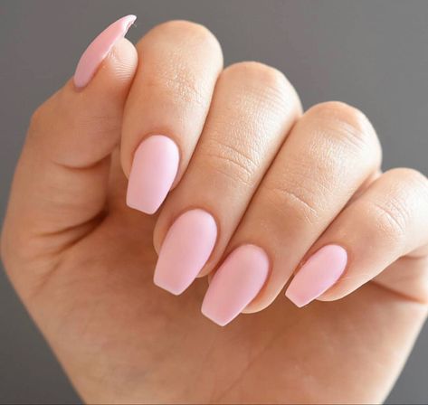 #nails #nailsofinstagram #nailsofinstagram #nailpolish #matte #mattenails #pinknails #naildesigns Matte Pink Nails, Short Coffin Nails, Her Nails, Simple Acrylic Nails, Acrylic Nails Coffin Short, Summer Acrylic Nails, Short Acrylic Nails Designs, Pink Nail, Pink Acrylic Nails