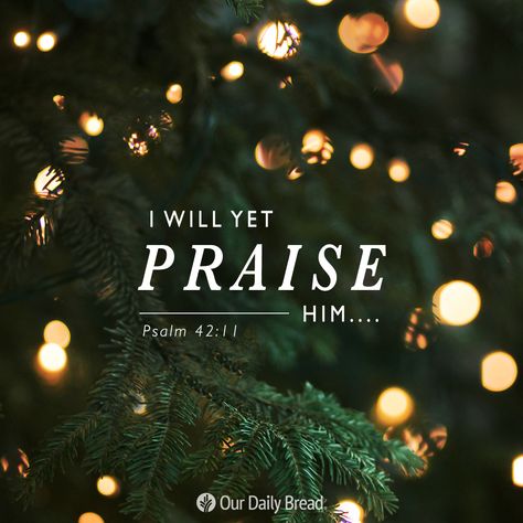 Psalm 42 11, Wallpaper Scripture, Psalm 42, Praise Him, Angel Prayers, Bible Quotes Images, Relationship With God, Christmas Blessings, Our Daily Bread